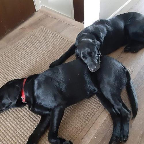 201187390_2975864719355560_6077470788176290786_n