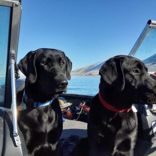 204055706_2975864599355572_7968426135419626771_n