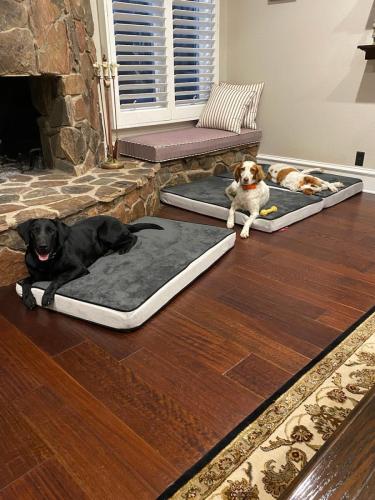 270290916_3115947815347249_8796768241204293874_n