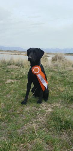 277794160_10160207415028417_7880657531648122218_n copy