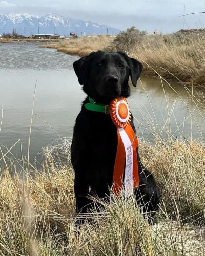 278137254_3191949324413764_3689136549285656049_n