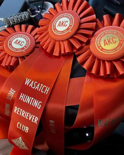 290593204_10158555274096160_1817687854932685777_n