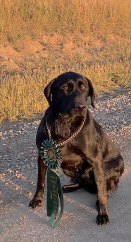 306146279_10224902164574419_8603621891967492522_n