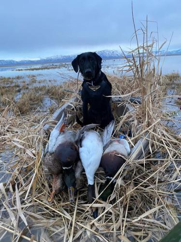 323879362_482714454041836_8572121035388249695_n