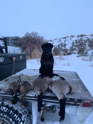 81548116_1497243470452232_5310250835530219520_n