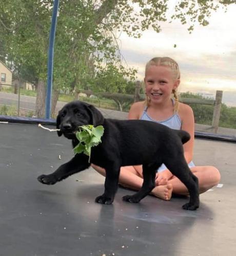 96375145_2651555951786440_6308465367572283392_n